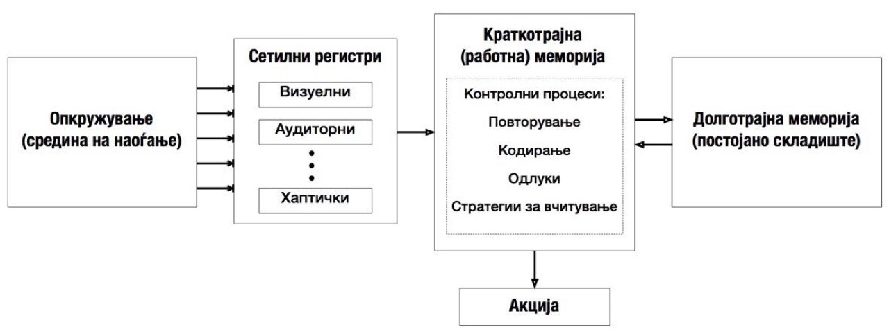 Текот на спомените: Аткинсон-Шифрин модел на меморијата